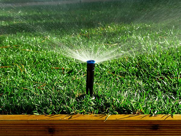 irrigation